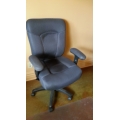 Mid Back Rolling Task Chair, Blue Tone